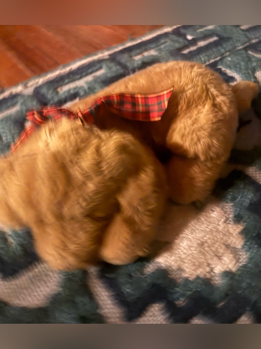 vintage 1992 Mary Meyer "Winkler" plush puppy. This specific collectible stuffed